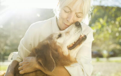 Treating your dog’s arthritis